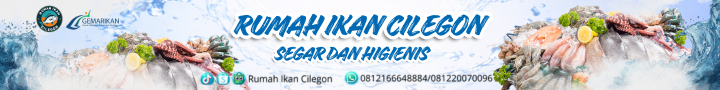 banner 728x90