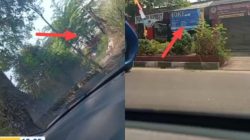 Marak Peredaran Obat Terlarang Golongan G, Warga Pertanyakan Kinerja Polsek Dan Polres Cianjur
