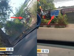 Marak Peredaran Obat Terlarang Golongan G, Warga Pertanyakan Kinerja Polsek Dan Polres Cianjur